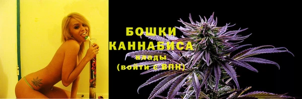 трава Переславль-Залесский