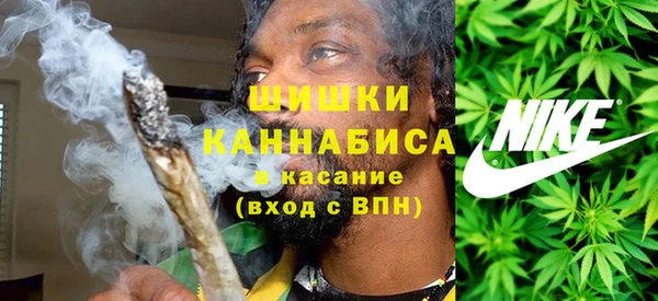 ПСИЛОЦИБИНОВЫЕ ГРИБЫ Пестово