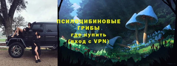 трава Переславль-Залесский