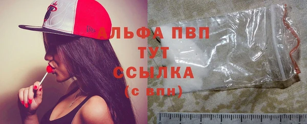герыч Пересвет