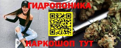 гашик Кунгур
