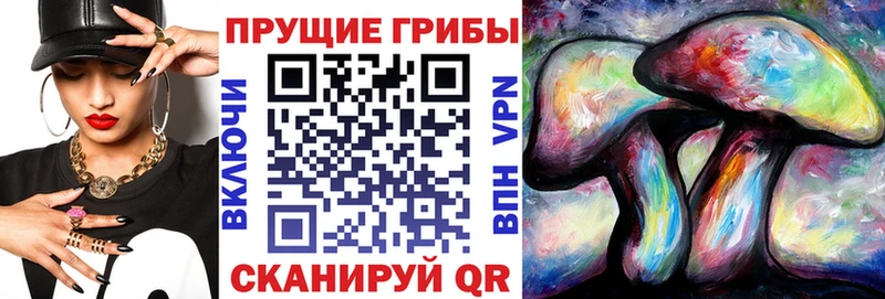 Галлюциногенные грибы ЛСД Тайшет