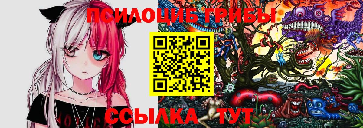 Псилоцибиновые грибы Psilocybine cubensis Тайшет